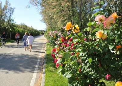 Apartments Lido Di Spina - Ravenne